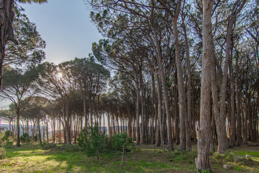 2 Bedroom Property for Sale in Somerset Lakes Western Cape